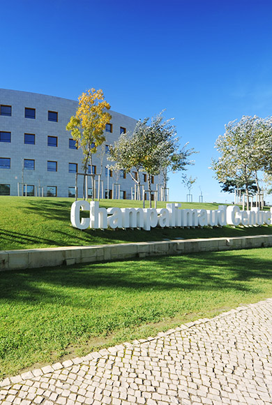 Champalimaud Centre for the Unknown