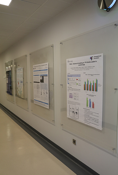 Nuclear Medicine - Clinical Research