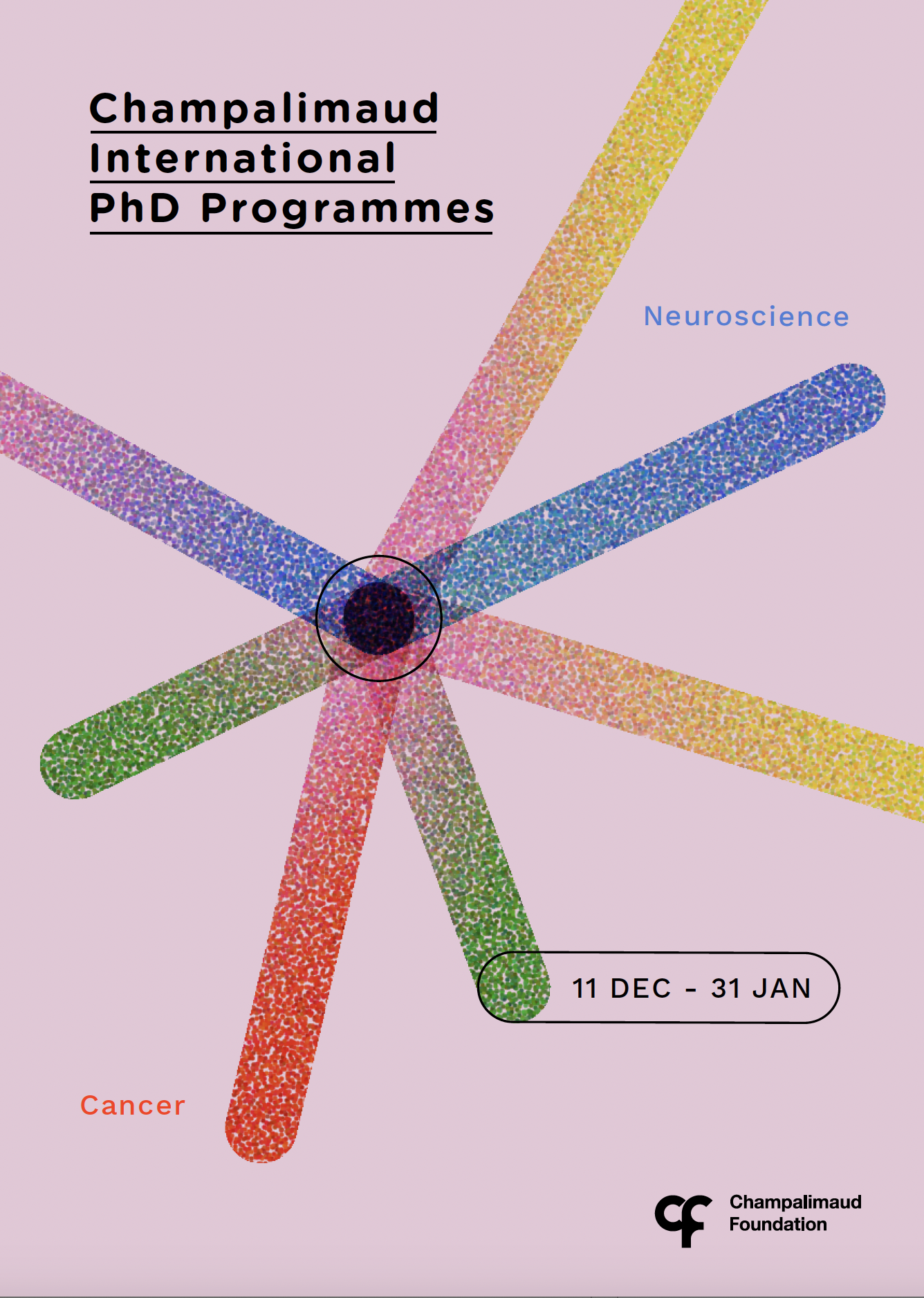 Champalimaud International PhD Programmes