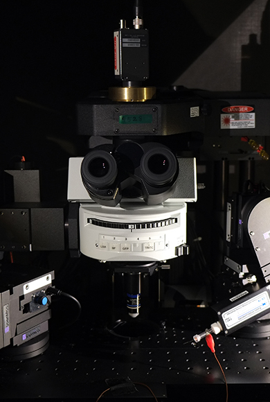 Advanced BioImaging and BioOptics Experimental Platform Advanced BioImaging and BioOptics Experimental Platform