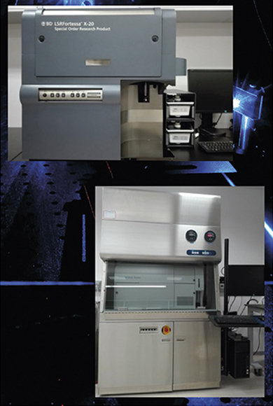 Flow Cytometry Flow Cytometry