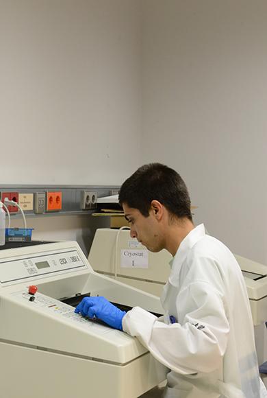 Histopathology Histopathology