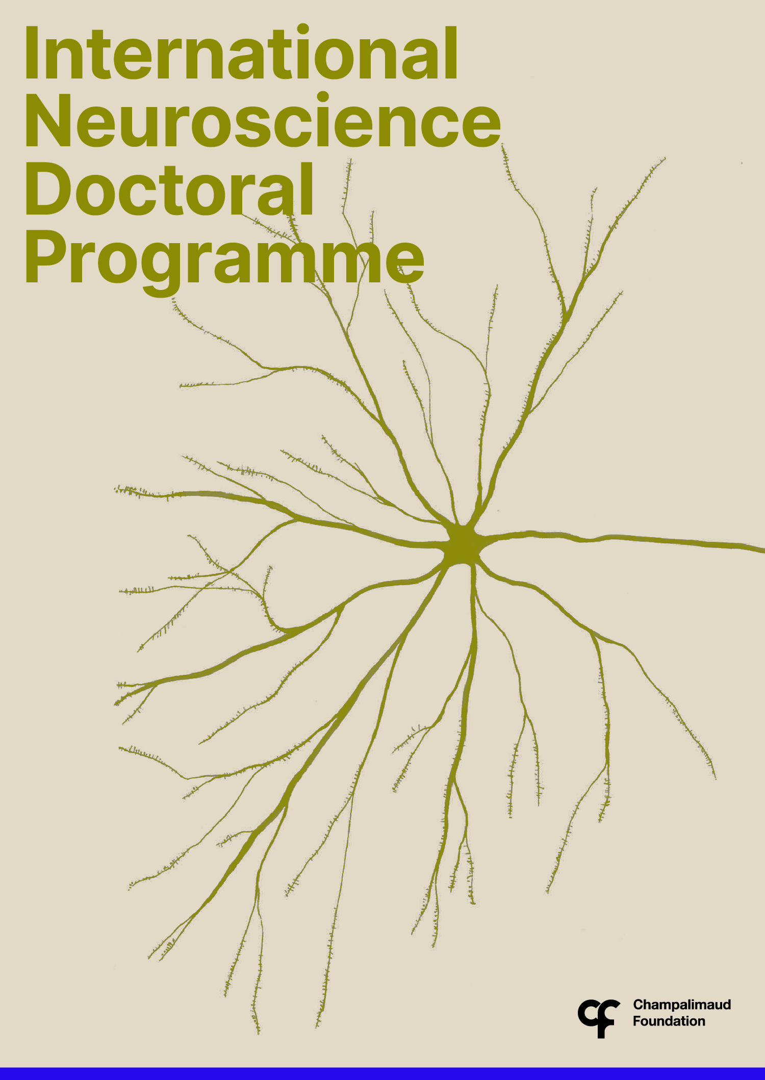 International PhDs in Neuroscience 