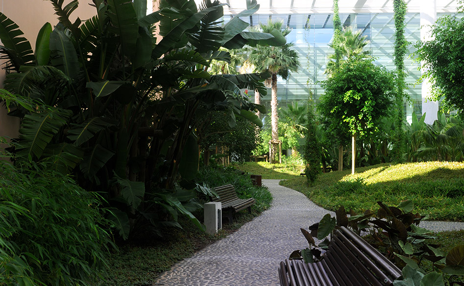 Spaces - Indoor Tropical Garden
