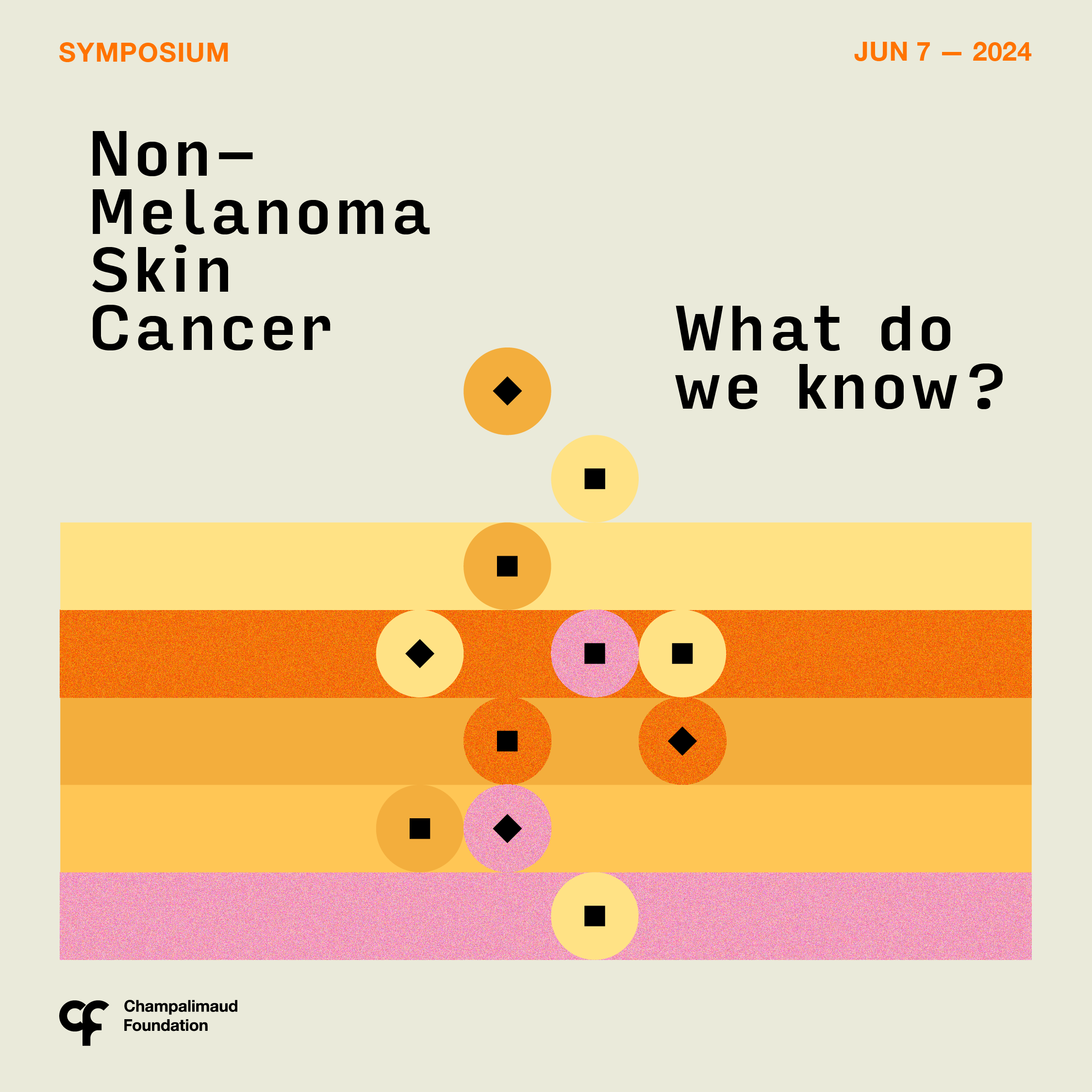 Symposium: Non-Melanoma Skin Cancer. What do we know?