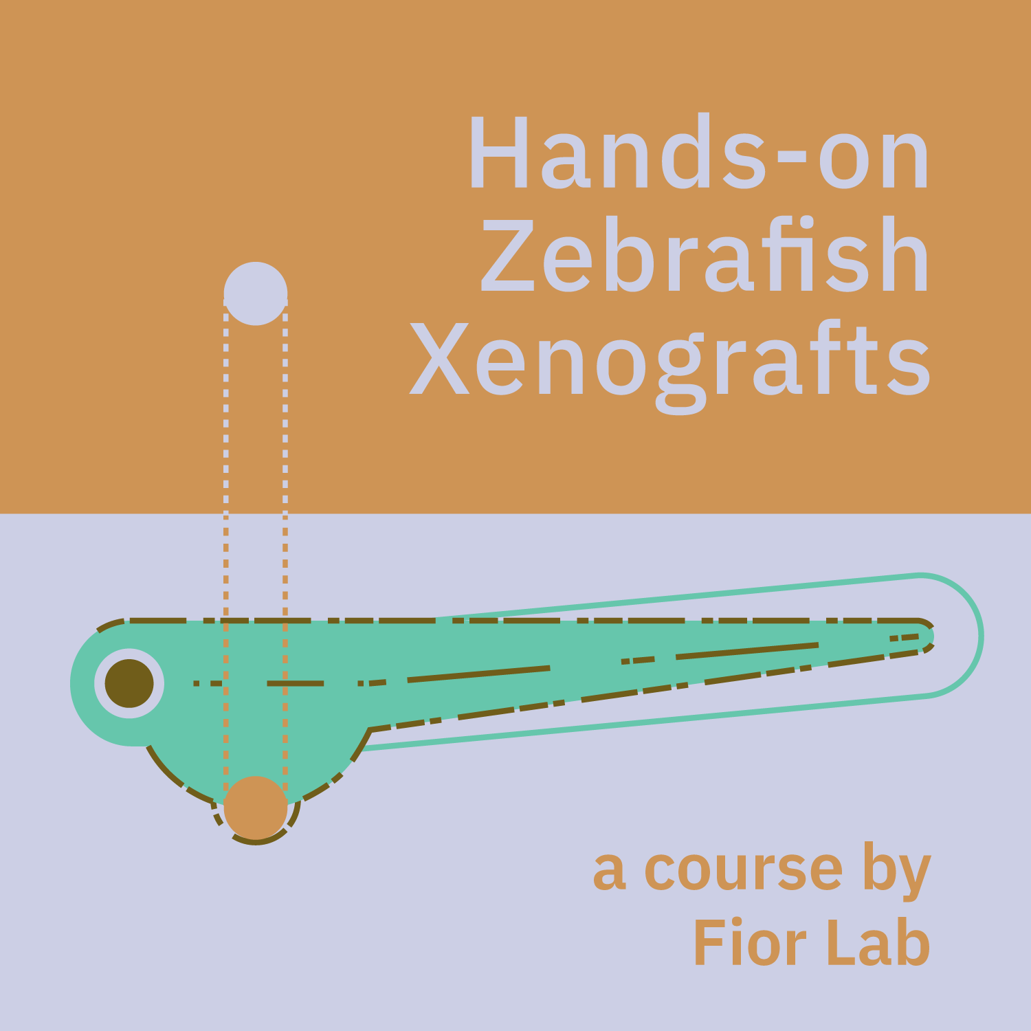 Hands-on course on Zebrafish Xenografts 2025 - 5th edition