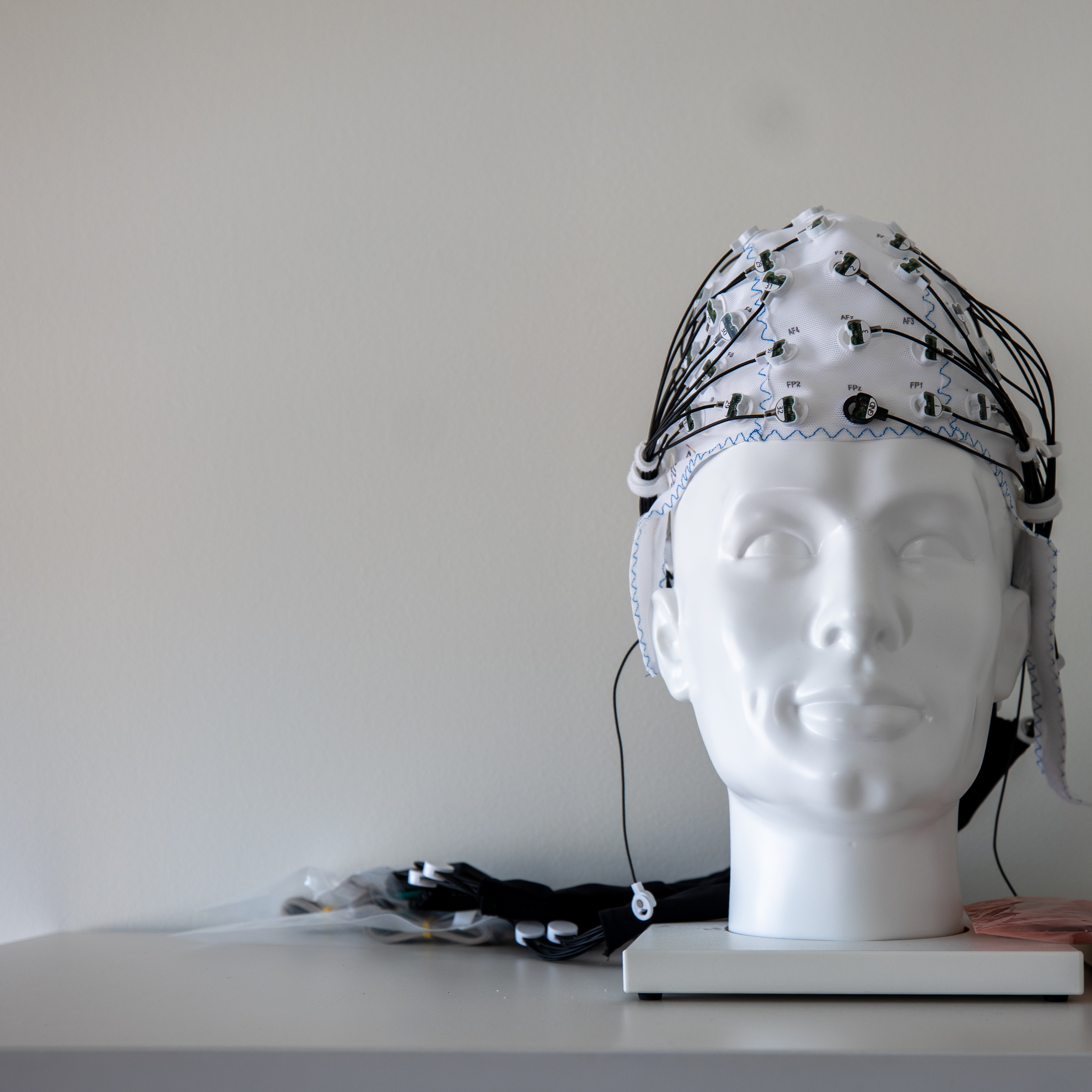 The Neuroscience of Disease Programme