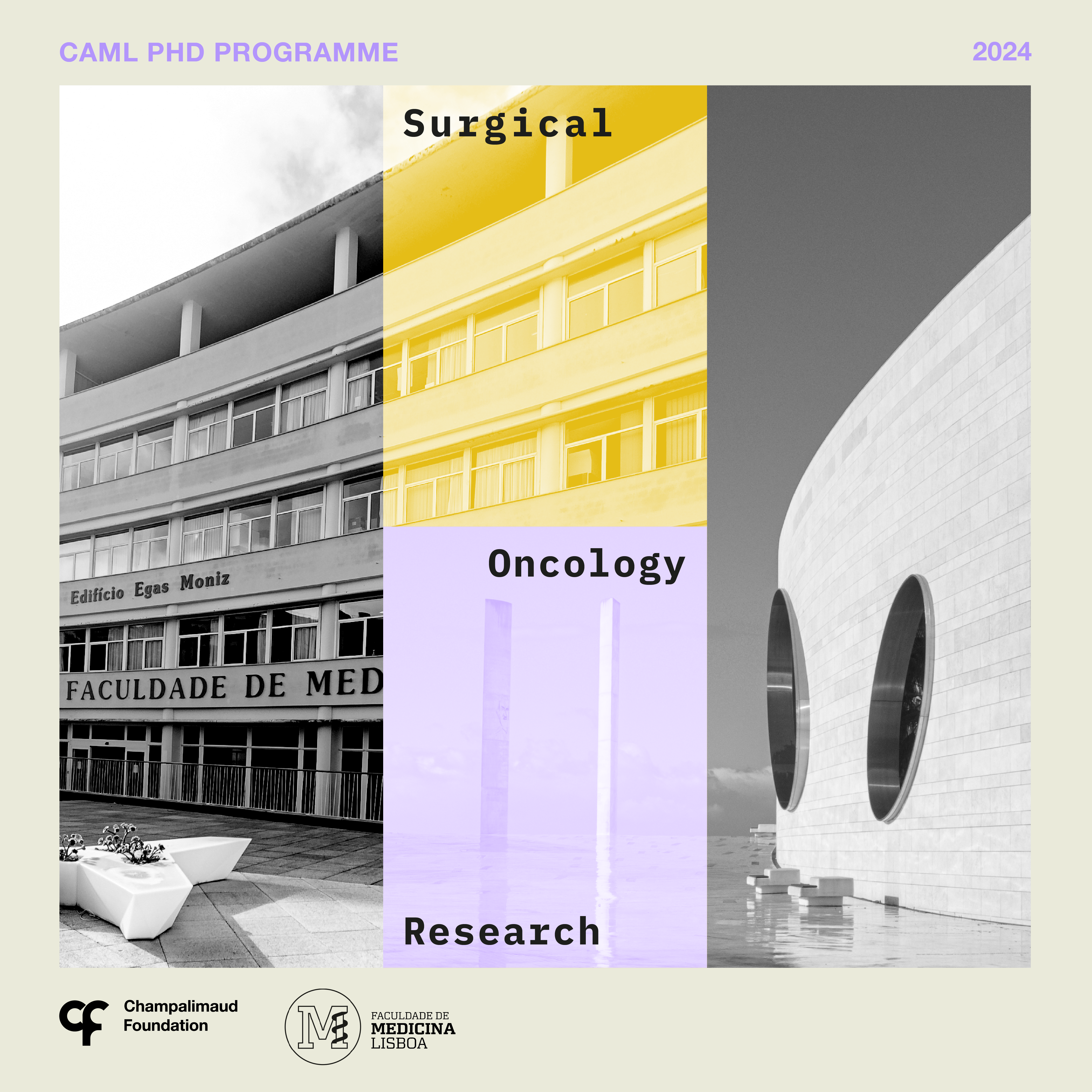 Novo Programa CAML de Doutoramento em Investigação em Oncologia Cirúrgica