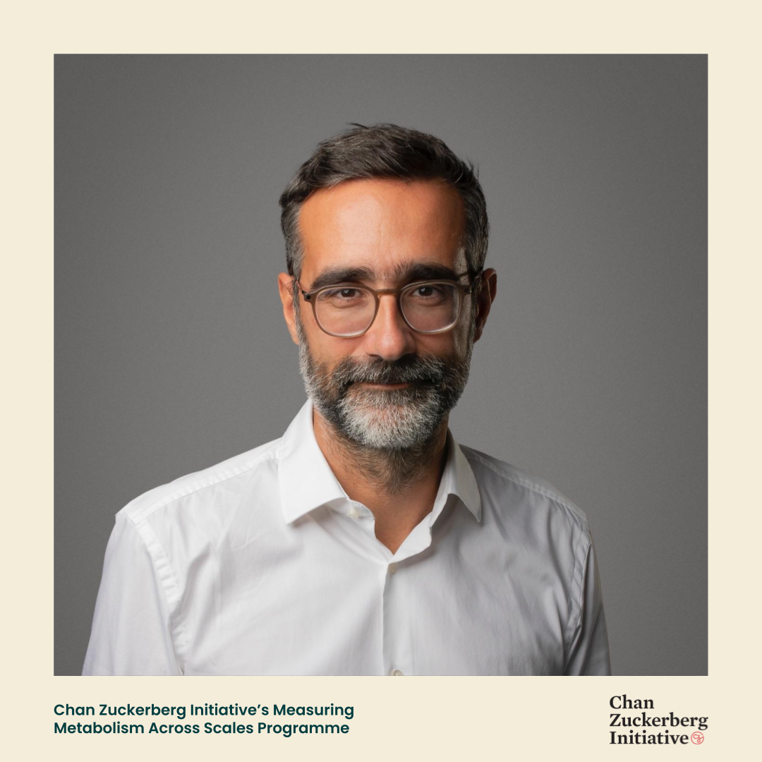 Four COLife Researchers Receive Grants from the Chan Zuckerberg