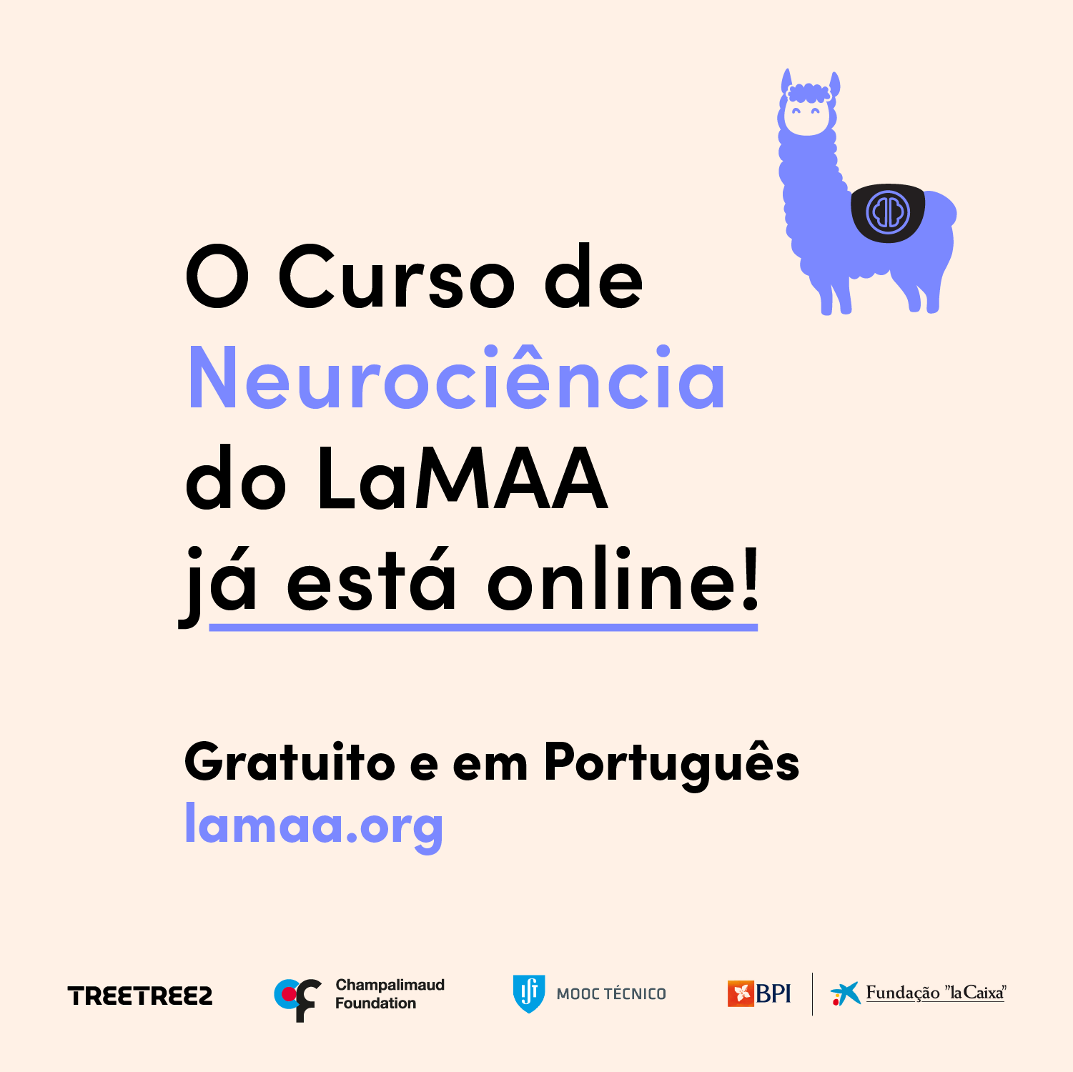 Cursos do LaMAA sobre Neurociência