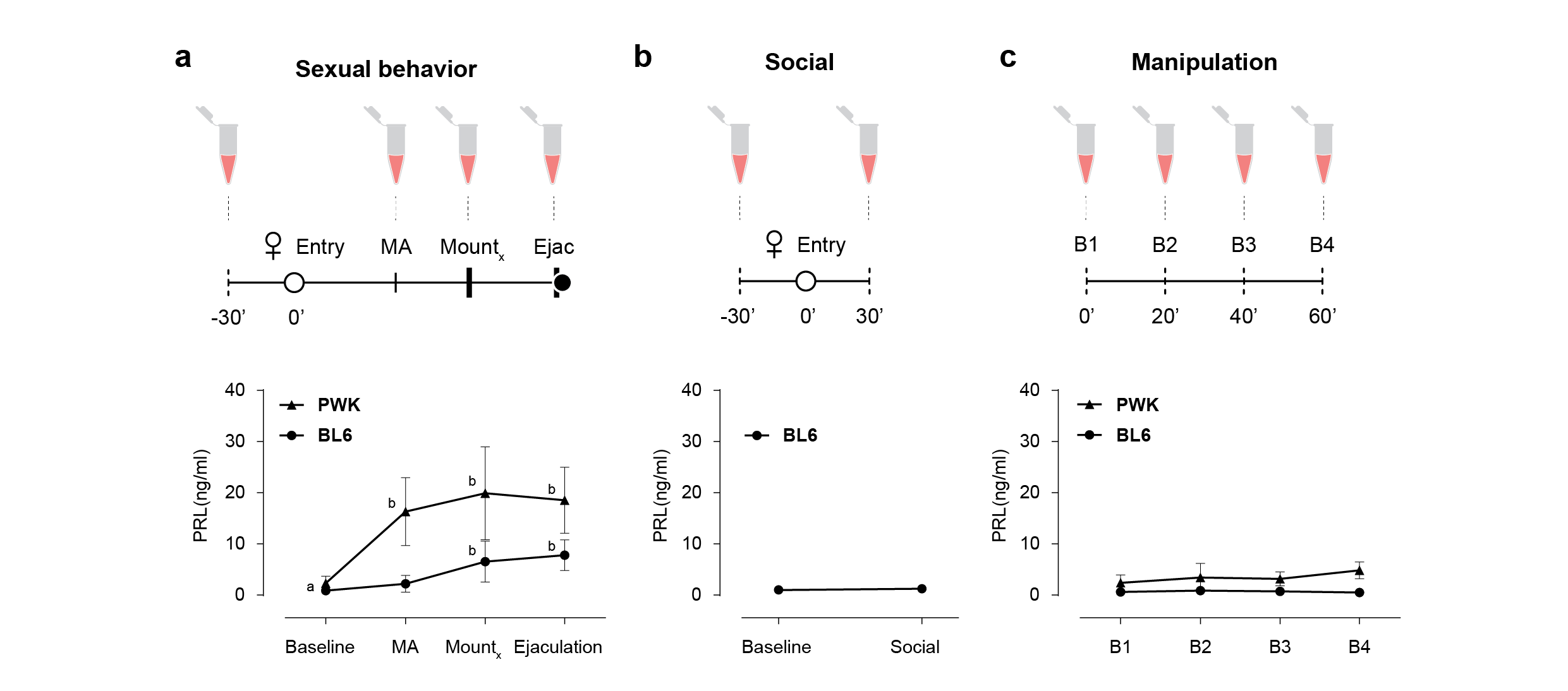 Prolactin manipulation in male mice