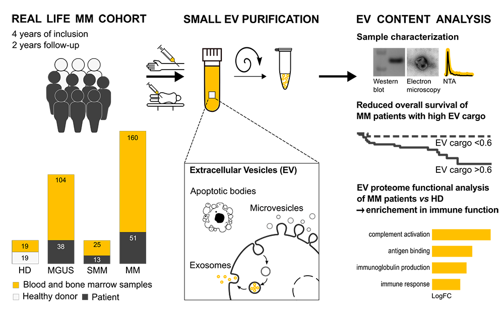 Patient-Derived Extracellular Vesicles Proteins as New Biomarkers in Multiple Myeloma - A Real-World Study
