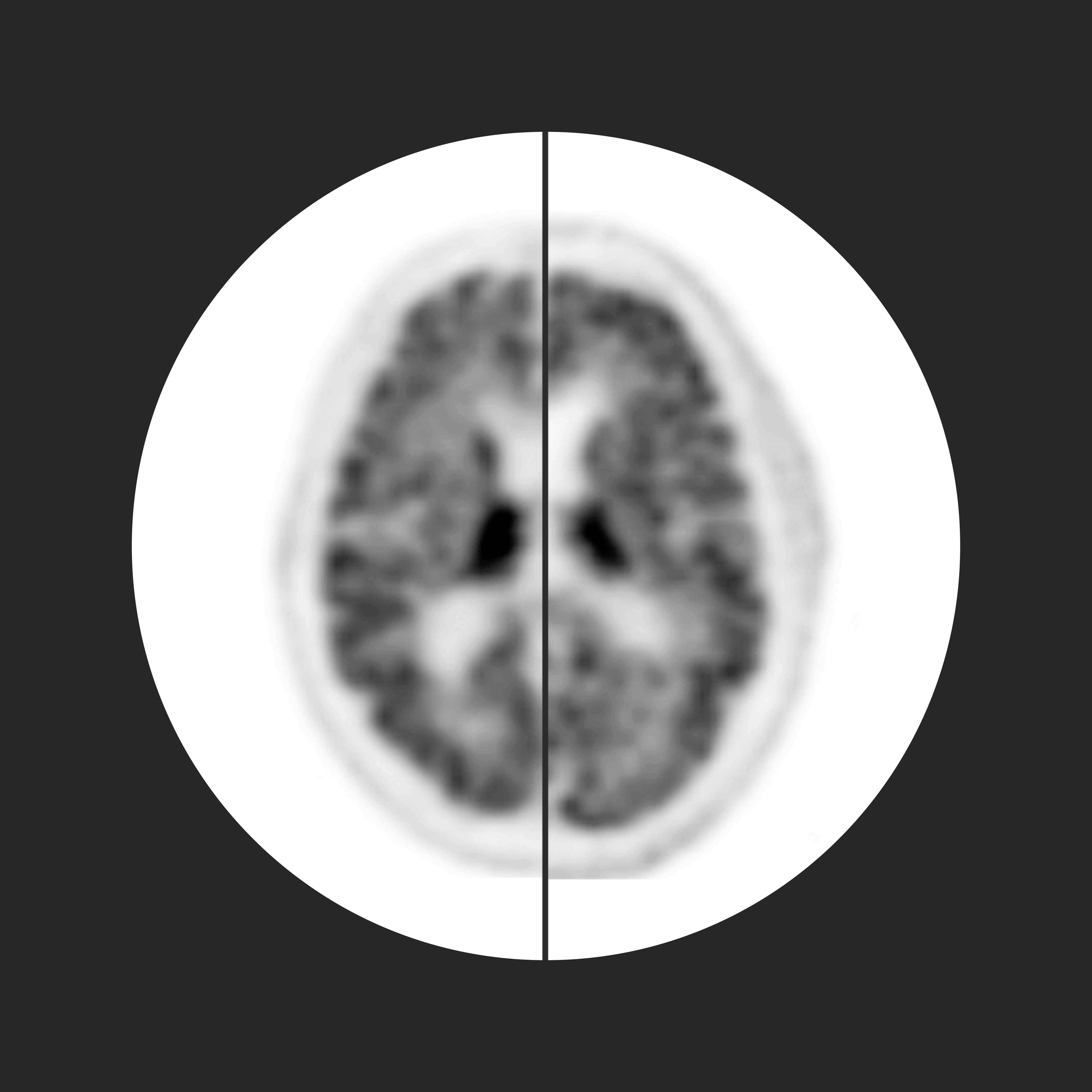What am I looking at? A Brain Teaser
