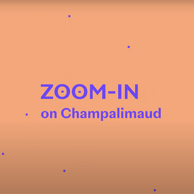 Zoom-In on Champalimaud