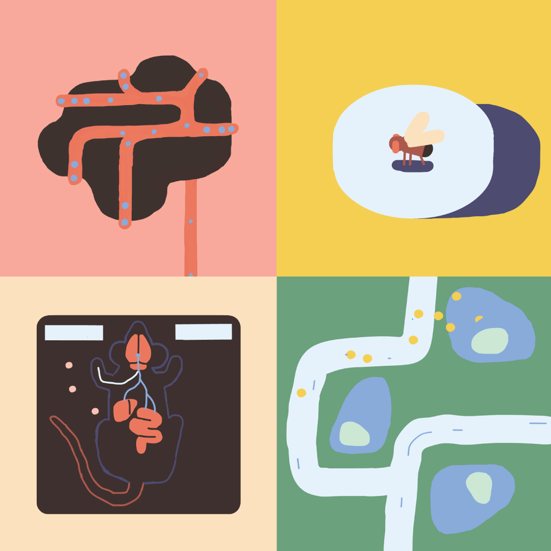 Science Collection Inside the Unknown