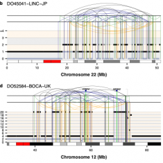 Molecular Oncology Lab