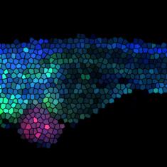 Cancer development and innate immune evasion