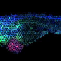 Cancer development and innate immune evasion