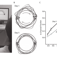 Cognitive-Motor Interface