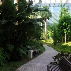 Indoor Tropical Garden