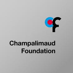 Champalimaud Foundation