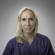 Maria João Cardoso