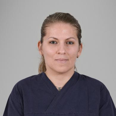 Teresa Pinheiro Teresa Pinheiro